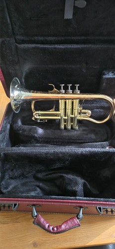 Genfer kardinal sopran - kardinal,